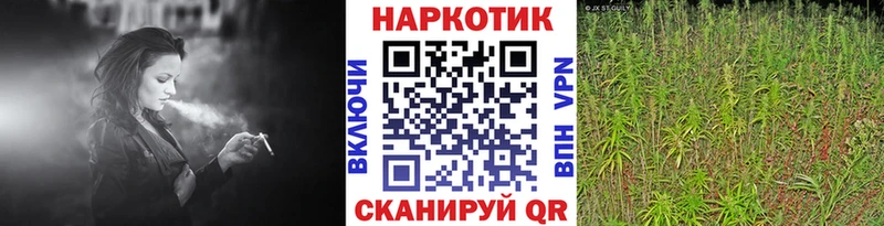 Канабис Новосиль