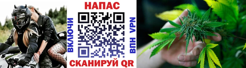 Где продают наркотики Новосиль COCAIN  ГАШИШ  АМФЕТАМИН  Бошки Шишки 