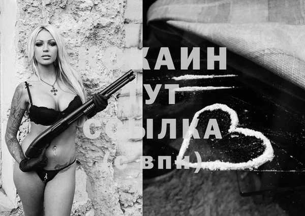 стаф Алексин