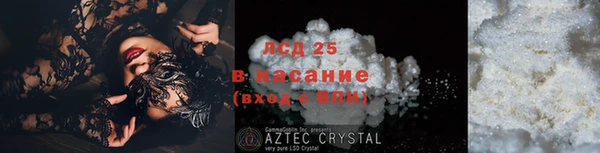 стаф Алексин