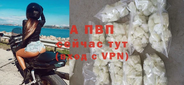 стаф Алексин