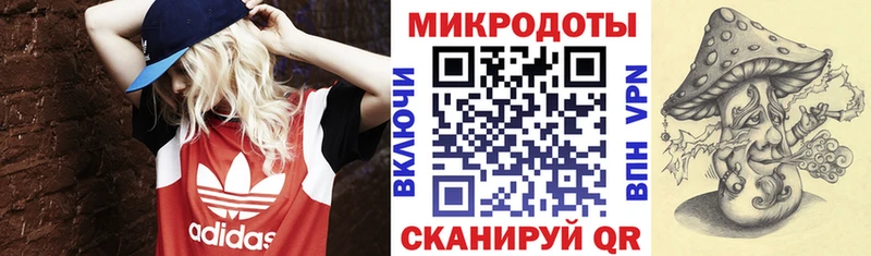 Галлюциногенные грибы Psilocybe  закладки  Новосиль 
