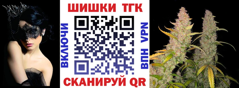 МЕГА ссылка  магазин продажи наркотиков  Новосиль  Шишки марихуана сатива 
